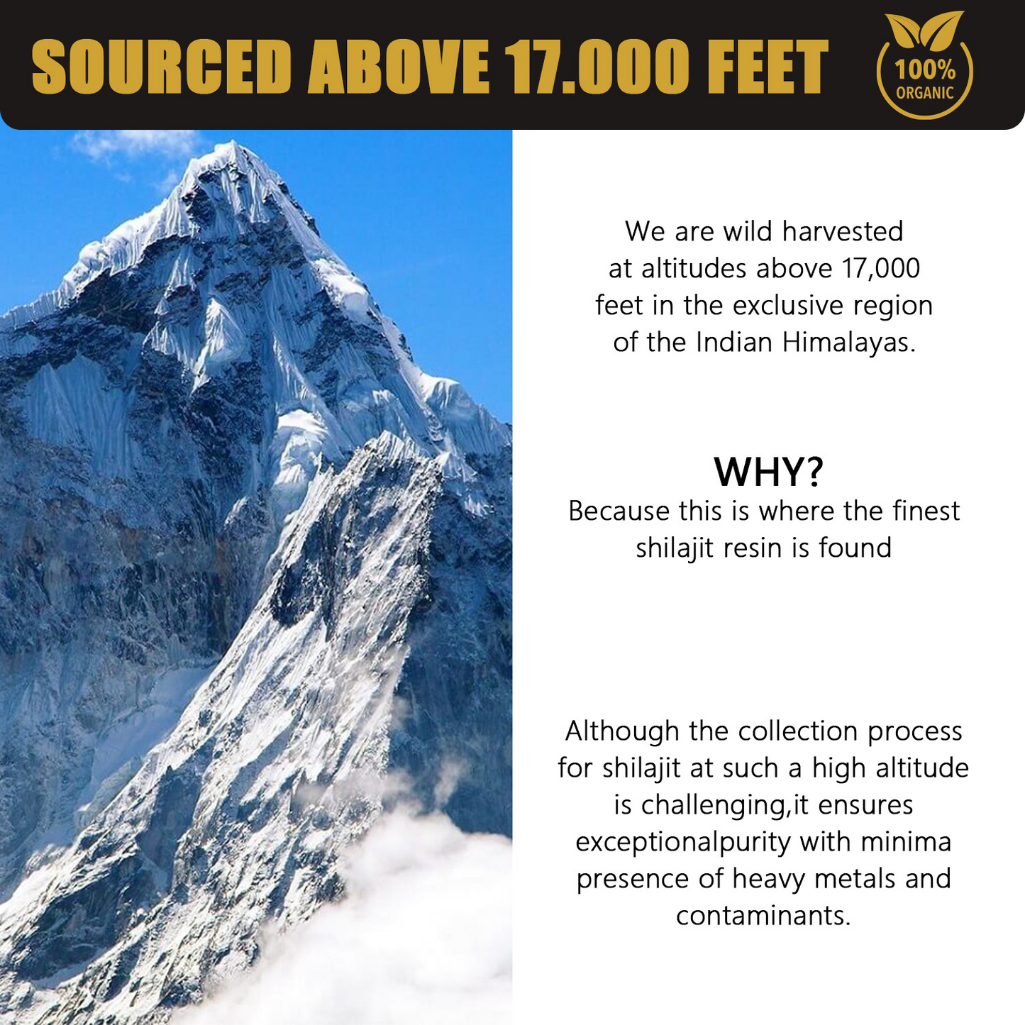 30g Natural Pure Shilajit Resin – Mineral-Rich Mountain Resin, Dissolves in Water or Tea